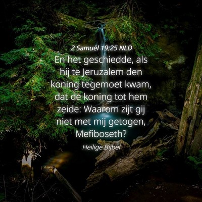 Picture 04 - 2 Samuël 19:25 NLD - En het geschiedde, als hij te Jeruzalem den - Bible Verse Picture