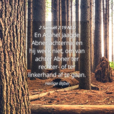 Picture 04 - 2 Samuël 2:19 NLD - En Asahel jaagde Abner achterna; en hij week - Bible Verse Picture