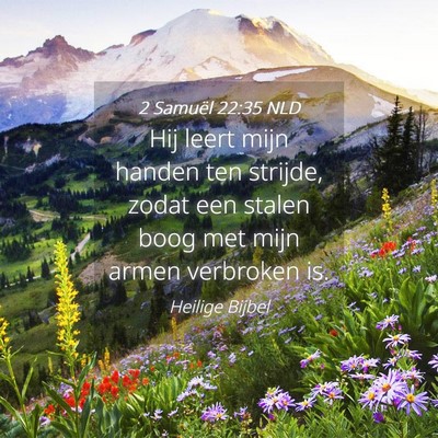 Picture 04 - 2 Samuël 22:35 NLD - Hij leert mijn handen ten strijde, zodat een - Bible Verse Picture