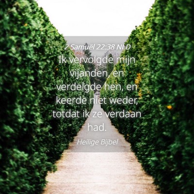 Picture 04 - 2 Samuël 22:38 NLD - Ik vervolgde mijn vijanden, en verdelgde hen, en - Bible Verse Picture