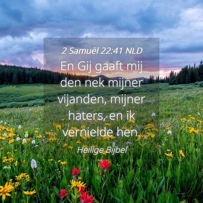 Picture 04 - 2 Samuël 22:41 NLD - En Gij gaaft mij den nek mijner vijanden, mijner - Bible Verse Picture