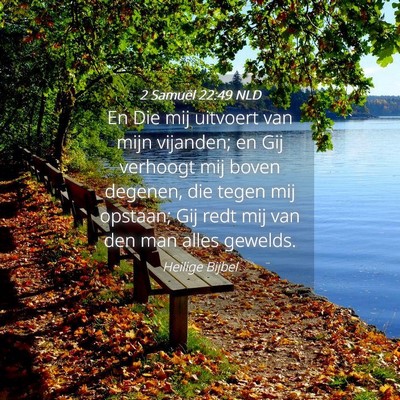Picture 04 - 2 Samuël 22:49 NLD - En Die mij uitvoert van mijn vijanden; en Gij - Bible Verse Picture