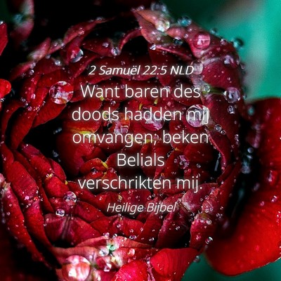 Picture 04 - 2 Samuël 22:5 NLD - Want baren des doods hadden mij omvangen; beken - Bible Verse Picture