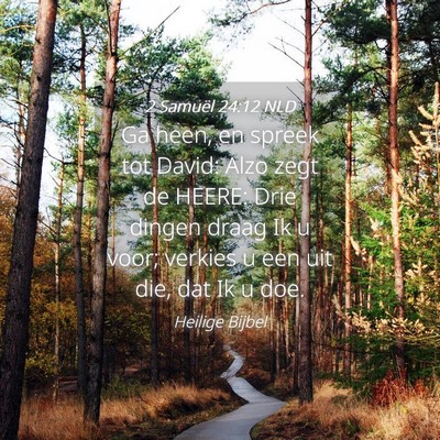 Picture 04 - 2 Samuël 24:12 NLD - Ga heen, en spreek tot David: Alzo zegt de HEERE: - Bible Verse Picture
