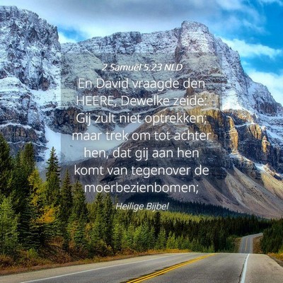 Picture 04 - 2 Samuël 5:23 NLD - En David vraagde den HEERE, Dewelke zeide: Gij - Bible Verse Picture