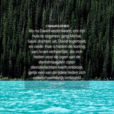 Picture 04 - 2 Samuël 6:20 NLD - Als nu David wederkwam, om zijn huis te zegenen, - Bible Verse Picture