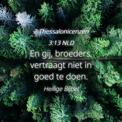 Picture 04 - 2 Thessalonicenzen 3:13 NLD - En gij, broeders, vertraagt niet in goed te - Bible Verse Picture
