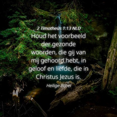 Picture 04 - 2 Timotheüs 1:13 NLD - Houd het voorbeeld der gezonde woorden, die gij - Bible Verse Picture