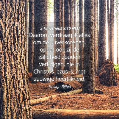Picture 04 - 2 Timotheüs 2:10 NLD - Daarom verdraag ik alles om de uitverkorenen, - Bible Verse Picture