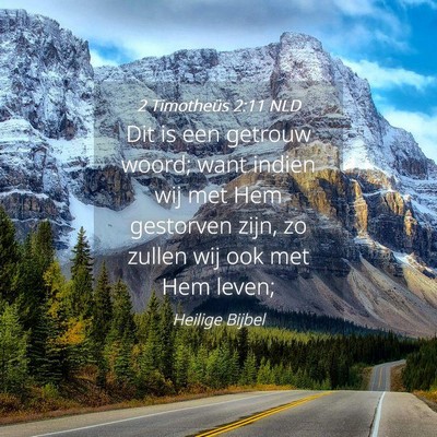 Picture 04 - 2 Timotheüs 2:11 NLD - Dit is een getrouw woord; want indien wij met Hem - Bible Verse Picture