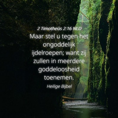 Picture 04 - 2 Timotheüs 2:16 NLD - Maar stel u tegen het ongoddelijk ijdelroepen; - Bible Verse Picture
