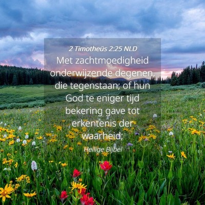 Picture 04 - 2 Timotheüs 2:25 NLD - Met zachtmoedigheid onderwijzende degenen, die - Bible Verse Picture
