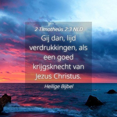 Picture 04 - 2 Timotheüs 2:3 NLD - Gij dan, lijd verdrukkingen, als een goed - Bible Verse Picture