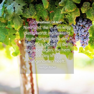 Picture 04 - 2 Timotheüs 2:4 NLD - Niemand, die in den krijg dient, wordt - Bible Verse Picture