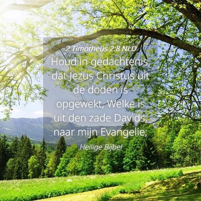 Picture 04 - 2 Timotheüs 2:8 NLD - Houd in gedachtenis, dat Jezus Christus uit de - Bible Verse Picture