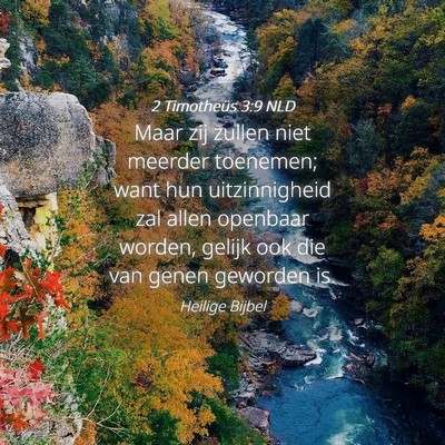 Picture 04 - 2 Timotheüs 3:9 NLD - Maar zij zullen niet meerder toenemen; want hun - Bible Verse Picture