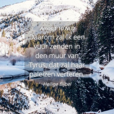 Picture 04 - Amos 1:10 NLD - Daarom zal Ik een vuur zenden in den muur van - Bible Verse Picture