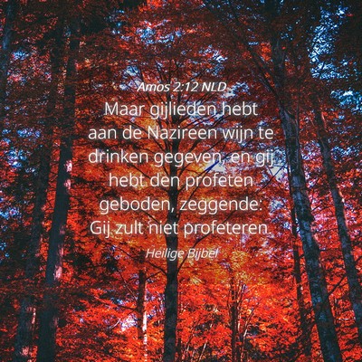 Picture 04 - Amos 2:12 NLD - Maar gijlieden hebt aan de Nazireen wijn te - Bible Verse Picture