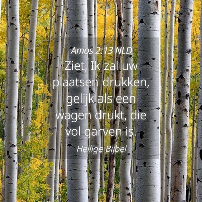 Picture 04 - Amos 2:13 NLD - Ziet, Ik zal uw plaatsen drukken, gelijk als een - Bible Verse Picture