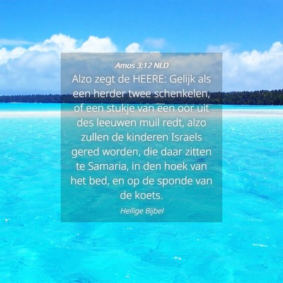 Picture 04 - Amos 3:12 NLD - Alzo zegt de HEERE: Gelijk als een herder twee - Bible Verse Picture