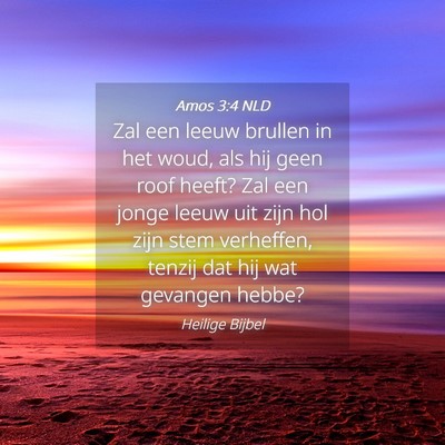 Picture 04 - Amos 3:4 NLD - Zal een leeuw brullen in het woud, als hij geen - Bible Verse Picture