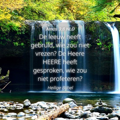 Picture 04 - Amos 3:8 NLD - De leeuw heeft gebruld, wie zou niet vrezen? De - Bible Verse Picture