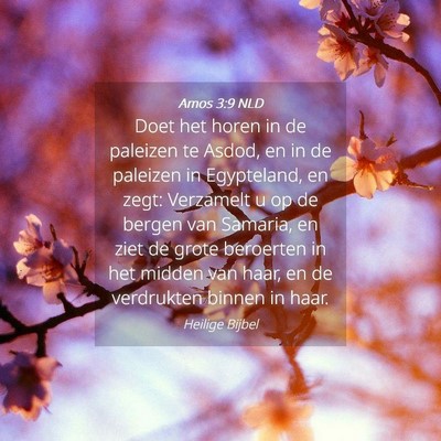 Picture 04 - Amos 3:9 NLD - Doet het horen in de paleizen te Asdod, en in de - Bible Verse Picture