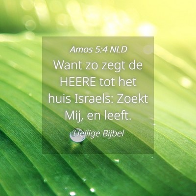 Picture 04 - Amos 5:4 NLD - Want zo zegt de HEERE tot het huis Israels: Zoekt - Bible Verse Picture