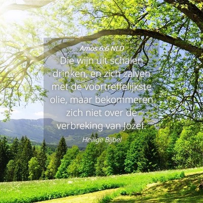 Picture 04 - Amos 6:6 NLD - Die wijn uit schalen drinken, en zich zalven met - Bible Verse Picture