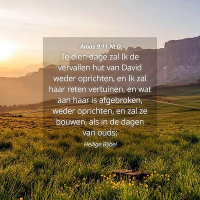Picture 04 - Amos 9:11 NLD - Te dien dage zal Ik de vervallen hut van David - Bible Verse Picture