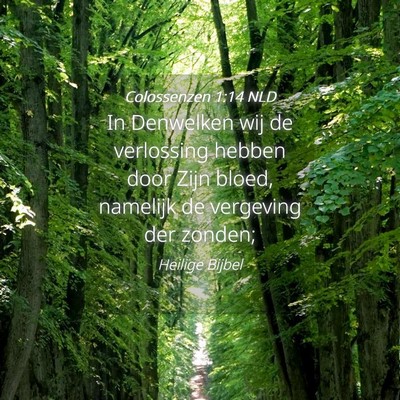 Picture 04 - Colossenzen 1:14 NLD - In Denwelken wij de verlossing hebben door Zijn - Bible Verse Picture