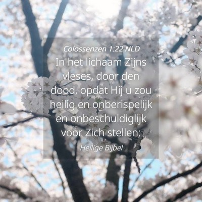 Picture 04 - Colossenzen 1:22 NLD - In het lichaam Zijns vleses, door den dood, opdat - Bible Verse Picture
