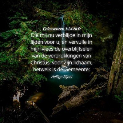 Picture 04 - Colossenzen 1:24 NLD - Die mij nu verblijde in mijn lijden voor u, en - Bible Verse Picture