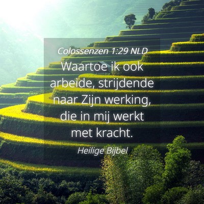 Picture 04 - Colossenzen 1:29 NLD - Waartoe ik ook arbeide, strijdende naar Zijn - Bible Verse Picture