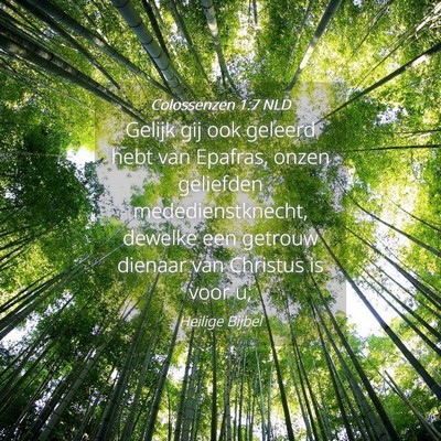 Picture 04 - Colossenzen 1:7 NLD - Gelijk gij ook geleerd hebt van Epafras, onzen - Bible Verse Picture