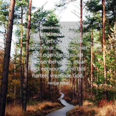 Picture 04 - Colossenzen 3:22 NLD - Gij dienstknechten, zijt in alles gehoorzaam uw - Bible Verse Picture