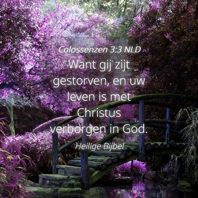 Picture 04 - Colossenzen 3:3 NLD - Want gij zijt gestorven, en uw leven is met - Bible Verse Picture