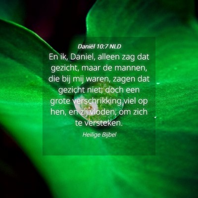 Picture 04 - Daniël 10:7 NLD - En ik, Daniel, alleen zag dat gezicht, maar de - Bible Verse Picture