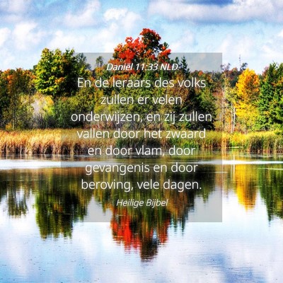 Picture 04 - Daniël 11:33 NLD - En de leraars des volks zullen er velen - Bible Verse Picture