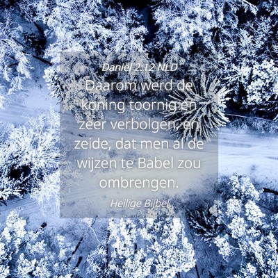 Picture 04 - Daniël 2:12 NLD - Daarom werd de koning toornig en zeer verbolgen, - Bible Verse Picture
