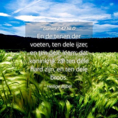 Picture 04 - Daniël 2:42 NLD - En de tenen der voeten, ten dele ijzer, en ten - Bible Verse Picture