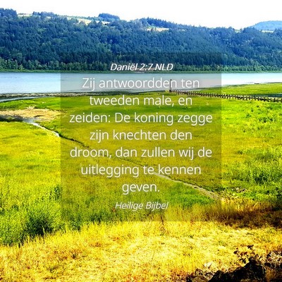 Picture 04 - Daniël 2:7 NLD - Zij antwoordden ten tweeden male, en zeiden: De - Bible Verse Picture