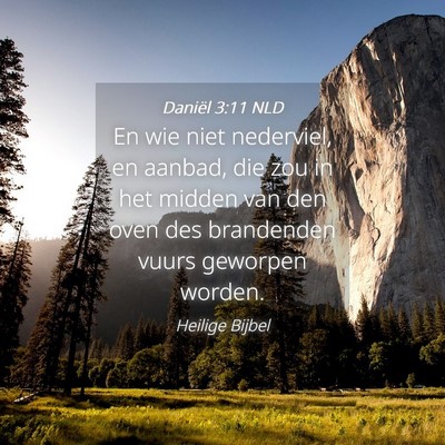 Picture 04 - Daniël 3:11 NLD - En wie niet nederviel, en aanbad, die zou in het - Bible Verse Picture