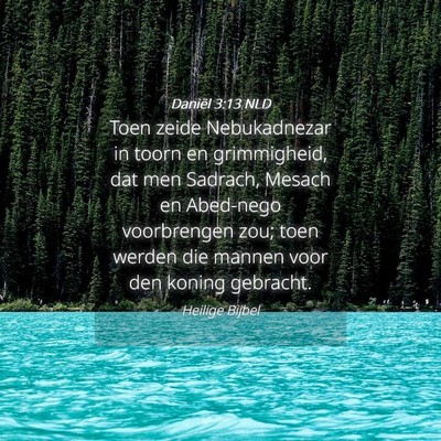 Picture 04 - Daniël 3:13 NLD - Toen zeide Nebukadnezar in toorn en grimmigheid, - Bible Verse Picture