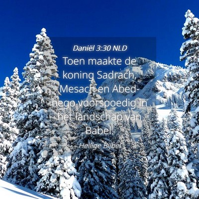 Picture 04 - Daniël 3:30 NLD - Toen maakte de koning Sadrach, Mesach en - Bible Verse Picture