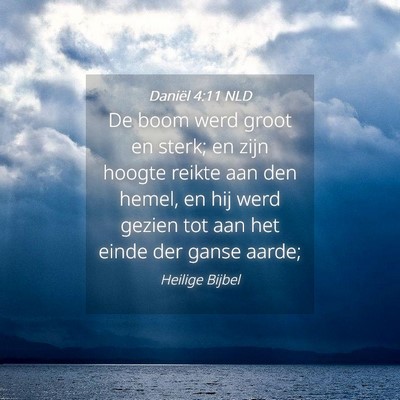 Picture 04 - Daniël 4:11 NLD - De boom werd groot en sterk; en zijn hoogte - Bible Verse Picture