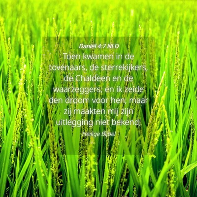 Picture 04 - Daniël 4:7 NLD - Toen kwamen in de tovenaars, de sterrekijkers, de - Bible Verse Picture
