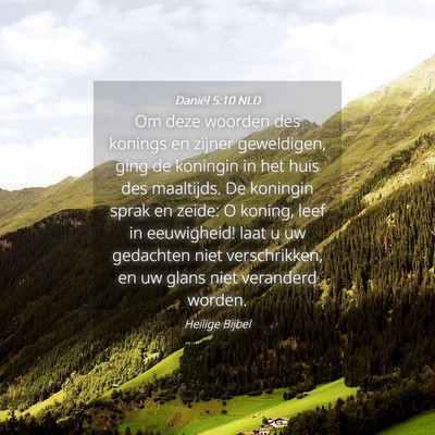 Picture 04 - Daniël 5:10 NLD - Om deze woorden des konings en zijner geweldigen, - Bible Verse Picture
