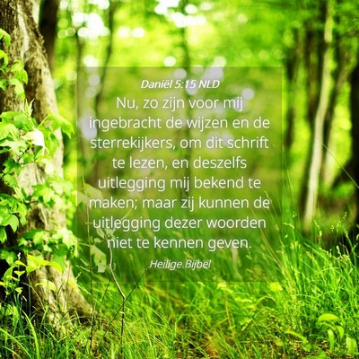 Picture 04 - Daniël 5:15 NLD - Nu, zo zijn voor mij ingebracht de wijzen en de - Bible Verse Picture