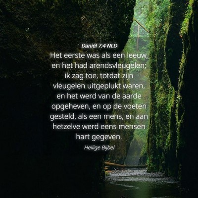 Picture 04 - Daniël 7:4 NLD - Het eerste was als een leeuw, en het had - Bible Verse Picture